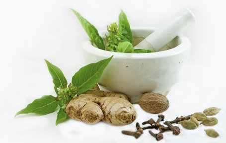 An Introduction to Ayurveda